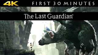 [PS5, PS4] The Last Guardian (4K 60 FPS Gameplay)