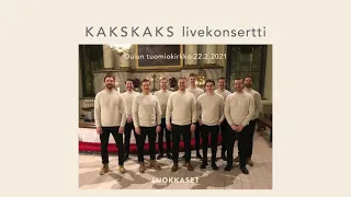 Luokkaset - Sun kanssasi (häälaulu)