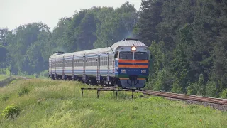 Дизель-поезд ДР1А-231 близ ст. Скидель / DR1A-231 DMU near Skidel station