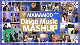 MAMAMOO's KILLING VOICE | Dingo Music reaction MASHUP 해외반응 모음