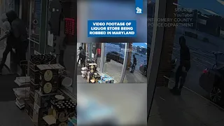 Video of liquor store being robbed in Maryland