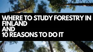 WHERE TO STUDY FORESTRY IN FINLAND AND 10 REASONS TO DO IT