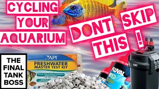 How to Cycle your Aquarium- Don’t skip this part!!! -The all male Peacock and Hap tank.