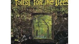 Forest for the Trees - The Sound of Wet Paint EP - (3) The Sound Of Music