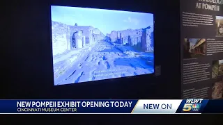 Cincinnati Museum Pompeii exhibit gives glimpse of life before, aftermath of Mount Vesuvius eruption