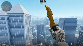 CS 2 (Knife Glove Combo) Tigertooth