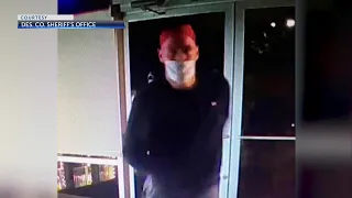 DCSO, Redmond PD seek tips to find burglar who broke into 5 Sisters, Redmond businesses