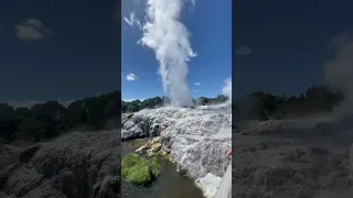 TE PUIA Geyser tour in Rotorua, NewZealand