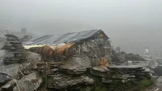 Very Relaxing Himalayan Sheep🐑 Shepherd Life || Nepal🇳🇵|| Shifting Sheepfold Another Place ||