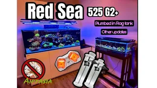 Red Sea 525 G2+  with plumbed in Frag tank, general updates