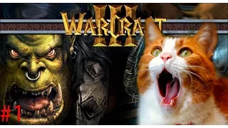 #1 Приколы: политика с озвучкой из игры Warcraft 3