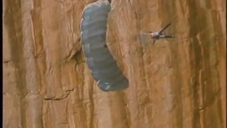 BASE jump accident at angel's falls venezuela by Amin Ariaee