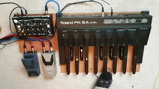 Genesis - Suppers Ready #7 - Cover with Moog Minitaur and PK5A Pedals