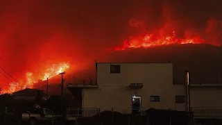 Греция: число жертв второй волны лесных пожаров выросло до 26…