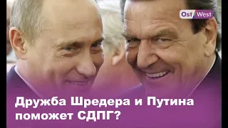 Как дружба Шредера с Путиным поможет СДПГ на выборах в Бранденбурге?