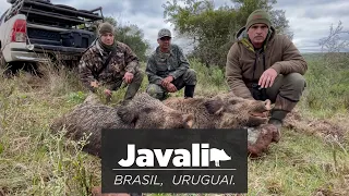 Caçada de javali - Brasil - Uruguai