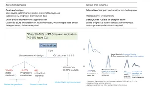 Peripheral arterial disease, part 1: general concepts -Elias Hanna