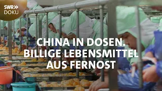 Billige Lebensmittel aus Fernost - China in Dosen | SWR Doku