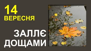 ПОГОДА НА ЗАВТРА: 14 ВЕРЕСНЯ 2023 | Точна погода на день в Україні