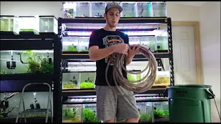 Shrimp rack water change