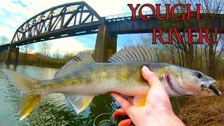 SPRING WALLEYE with SWIMBAITS while walking small river. (Youghiogheny river, PA) (Surprise catch!)