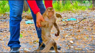 That's a good time..! Moka monkeys make animate it's time to exercise.