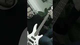 Sunshine of Your Love - Cream Bass cover but one octave below #shorts