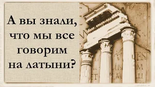 А вы знали, что мы все говорим на латыни?!