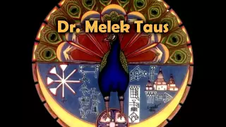 Dr. Melek Taus - Hate Love Will Travel