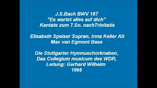 Bach Kantate BWV 187 Es wartet alles auf dich, Gerhard Wilhelm 1966