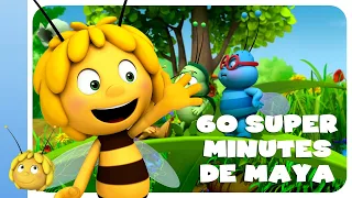 Maya l'abeille - compilation de  60 super minutes