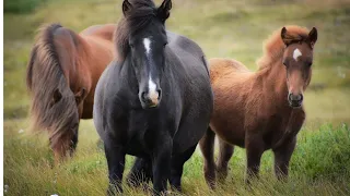 НЕВЕРОЯТНО КРАСИВАЯ МУЗЫКА!!! ЕЕ МОЖНО СЛУШАТЬ ВЕЧНО! ПОСЛУШАЙТЕ!