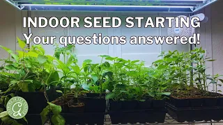 Starting Seeds Indoors | Your Questions Answered!