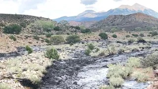 Sudden Flash Flood In Moab Desert