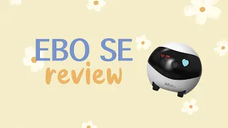EBO SE Review