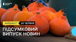 Троє загиблих через ракетний удар, злочини армії РФ, історики Дніпра волонтерять на фермі | 20.06.22