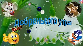 Добренького утра!