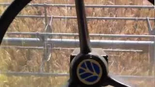 New Holland Tf 44 harvesting barley in Croatia 2012.