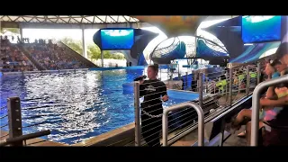 ORCA SHOW STOPPED!!! SHOW GOES EXTREMELY WRONG!!! FEMALE ORCAS SAY NOT TODAY!!! SEAWORLD 4/1/23 1:45