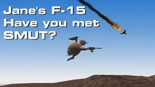 Jane's F-15 • Have You Met SMUT?