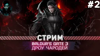 Baldur's Gate 3  ПРОХОЖДЕНИЕ ТАКТИКА | АБСОЛЮТНОЕ ЗЛО | #2