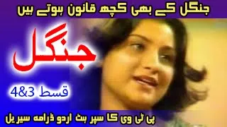 Jungle Episode 3 & 4 PTV Classic Urdu Drama