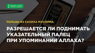 Разрешается ли поднимать указательный палец при упоминании Аллаха? Пользы из Сахих Муслима. Абу Яхья