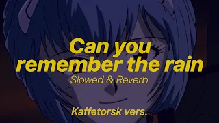 Can You Remember the Rain (Better version) - slowed & reverb