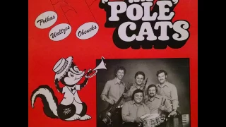 Gypsy Polka - The Pole Cats