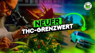 Cannabis im Straßenverkehr: Das wird der neue THC Grenzwert in Deutschland | ON MPU | 2023