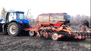 HORSCH Focus 6 TD с трактором New Holland T 8.410. Посев нута.