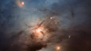 Take a Tour of NGC 1333