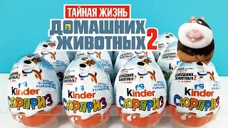 Киндер Сюрпризы ТАЙНАЯ ЖИЗНЬ ДОМАШНИХ ЖИВОТНЫХ 2 2019! Unboxing Kinder Surprise Новая коллекция!