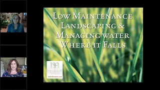 Low Maintenance Landscaping and Managing Water Where it Falls | MMSD